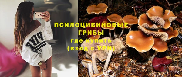 apvp Зерноград
