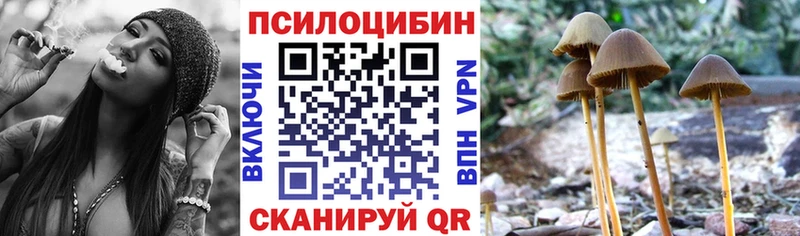 блэк спрут рабочий сайт  Ишимбай  Галлюциногенные грибы Psilocybine cubensis  где купить наркоту 
