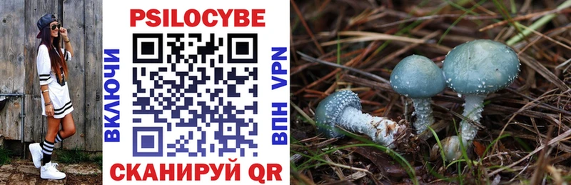 Псилоцибиновые грибы Cubensis Ишимбай